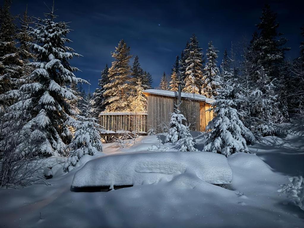 Forest Cabin With Stunning Mountain View & Sauna Torsby Extérieur photo
