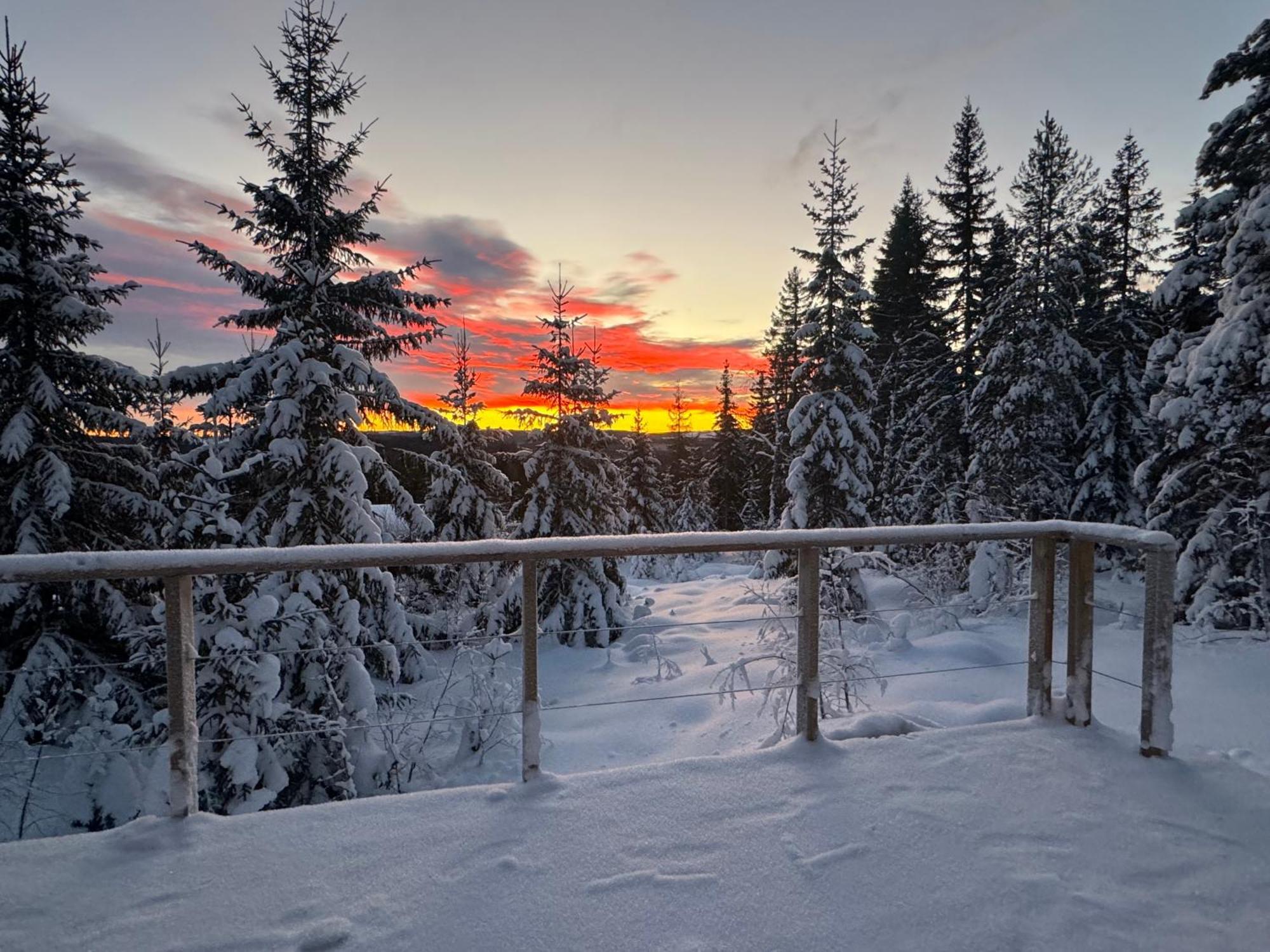 Forest Cabin With Stunning Mountain View & Sauna Torsby Extérieur photo